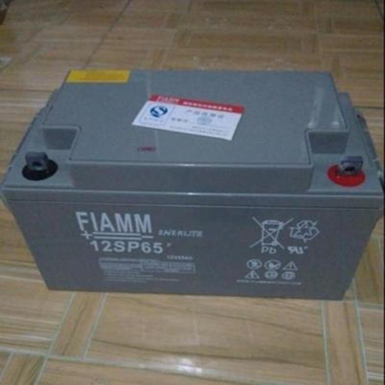 FIAMM 蓄电池 12V65Ah 12SP65 UPS应急照明 胶体电池