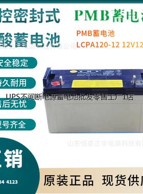 PMB蓄电池LCPA120-12 12V120AH消防照明 UPS电源配套 EPS直流屏