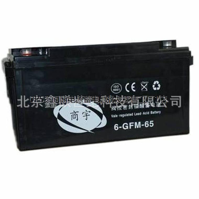 商宇6-FM-38/免维护铅酸蓄电池6-FM-38 直流屏电池12V38AH