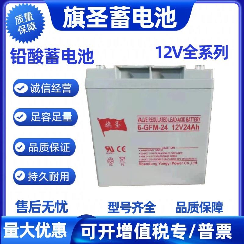 蓄电池6-GFM-24 12V24AH免维护UPS机房 太阳能光伏发电应急