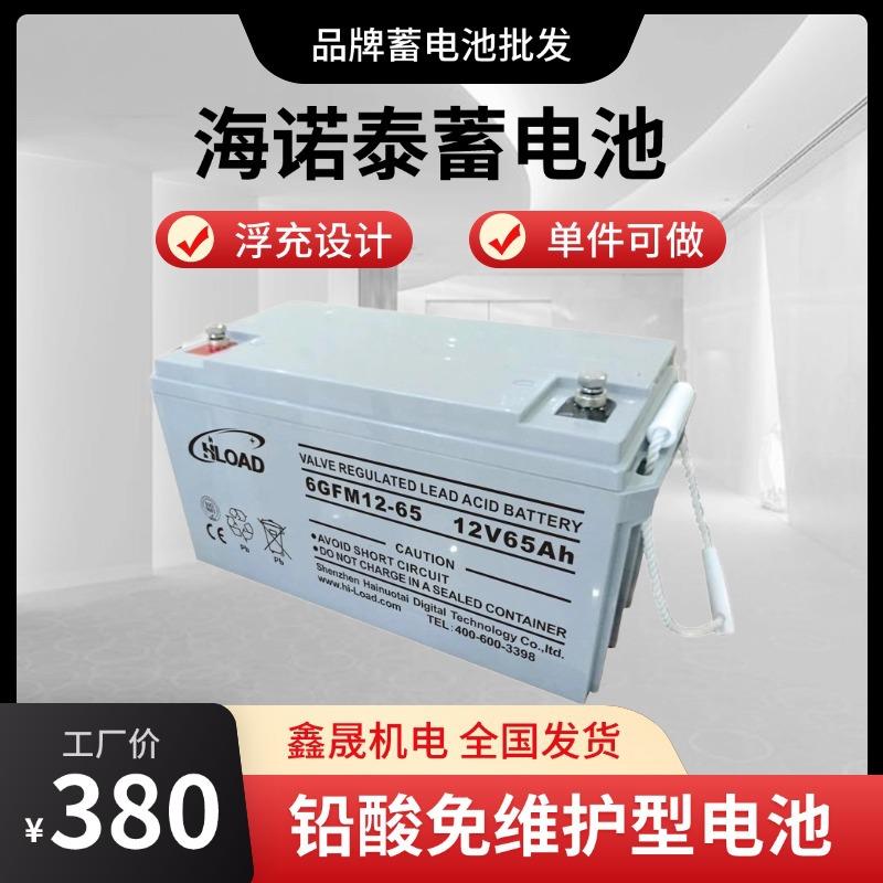 太阳能离网供电系统HLOAD蓄电池6GFM-65 12V6H光伏电瓶