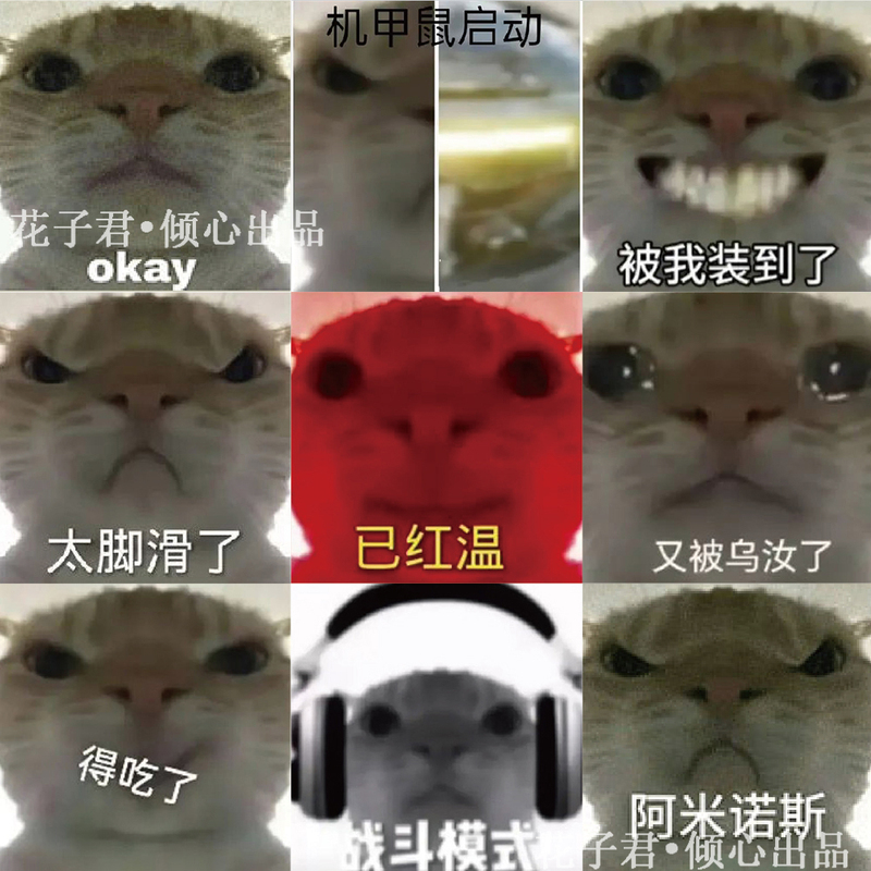趣味手账高清搞怪猫猫贴纸挂件