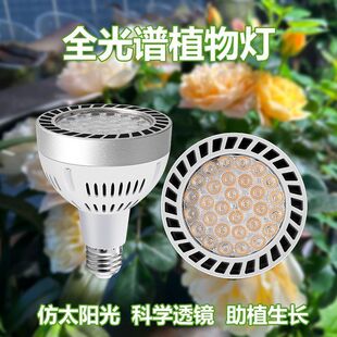 植物补光灯仿太阳全光谱室内阳台农用养殖光照桌面植物灯家用育苗
