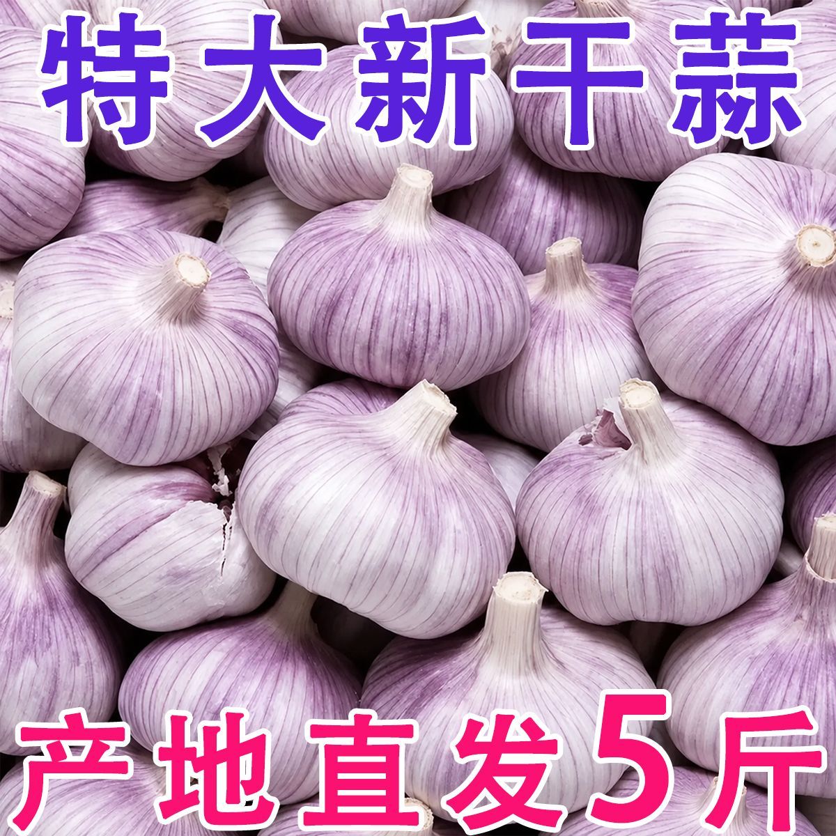 2026年新鲜紫皮干蒜多瓣农家新蒜