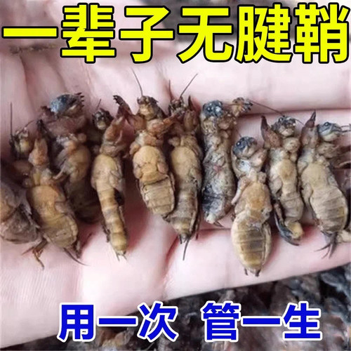 飞蚊症专用滴眼液氨碘肽飞蚊症蚊眼治疗眼前黑影飘动玻璃体混