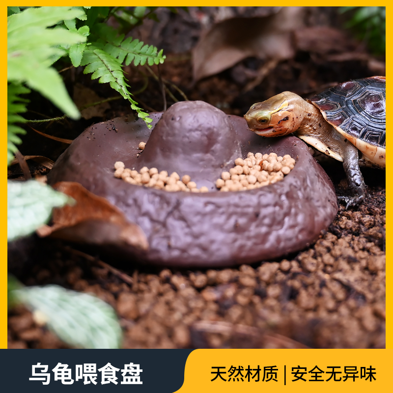 萌多丽黄缘龟专用喂食盘水盘半水龟陶瓷喂食器乌龟喂食台喂水盘