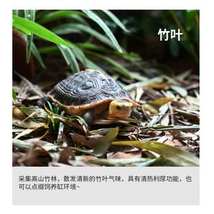 黄缘龟陆龟爬宠保湿躲避垫材纯天然竹叶龙眼叶松树皮松针不易腐烂
