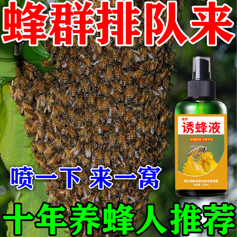 箱箱都爆满】新手诱蜂神器专用招蜂收蜂新款诱蜂剂信息素诱蜂水