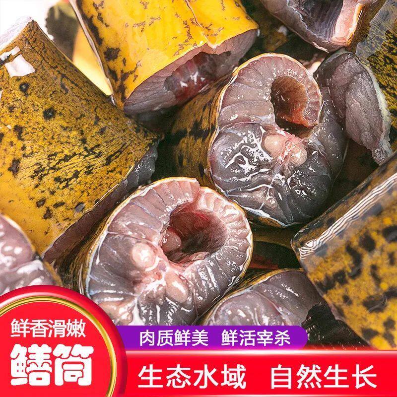 新鲜鳝鱼段去头去尾去内脏土黄鳝鲜活现杀原生态鳝鱼片炖骨煲汤