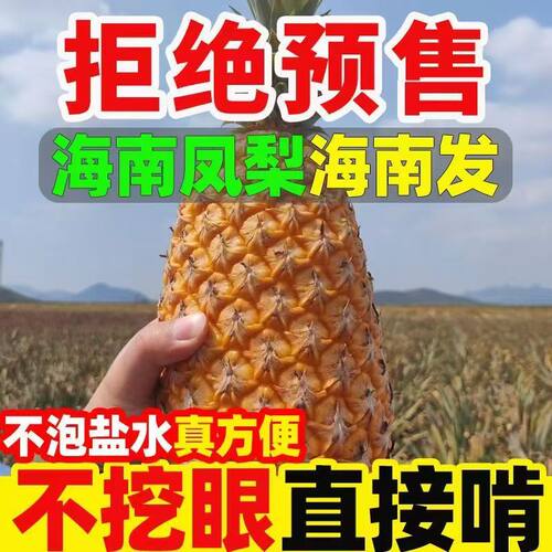 正宗海南金钻凤梨牛奶甜脆无渣树上自然熟果香浓郁
