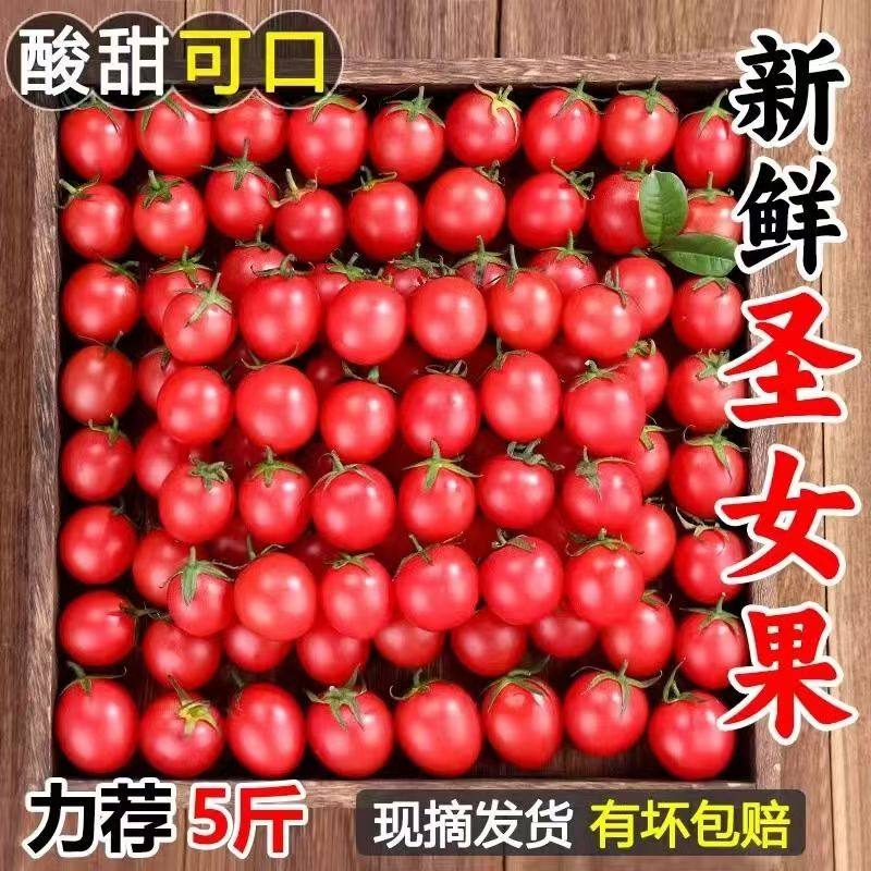 广西新鲜圣女果小番茄5斤应当季孕妇水果酸甜生吃西红柿千禧蔬菜,水产肉类/新鲜蔬果/熟食,番茄,淘宝优惠券,粉丝福利购,淘宝优惠卷