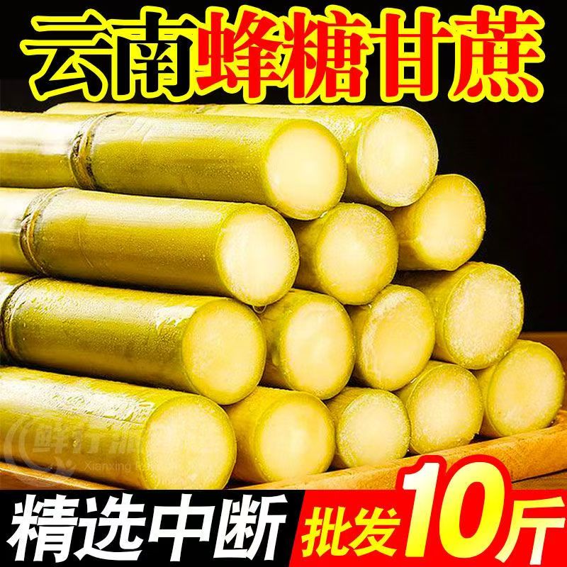 正宗云南黄金脆皮甘蔗新鲜10斤 整根黄皮易去皮现砍甘蔗批发甜杆