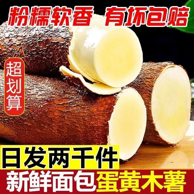 农家自种黄金木薯新鲜现挖5斤黄肉面包木薯当季粉糯板栗黄心蜜薯