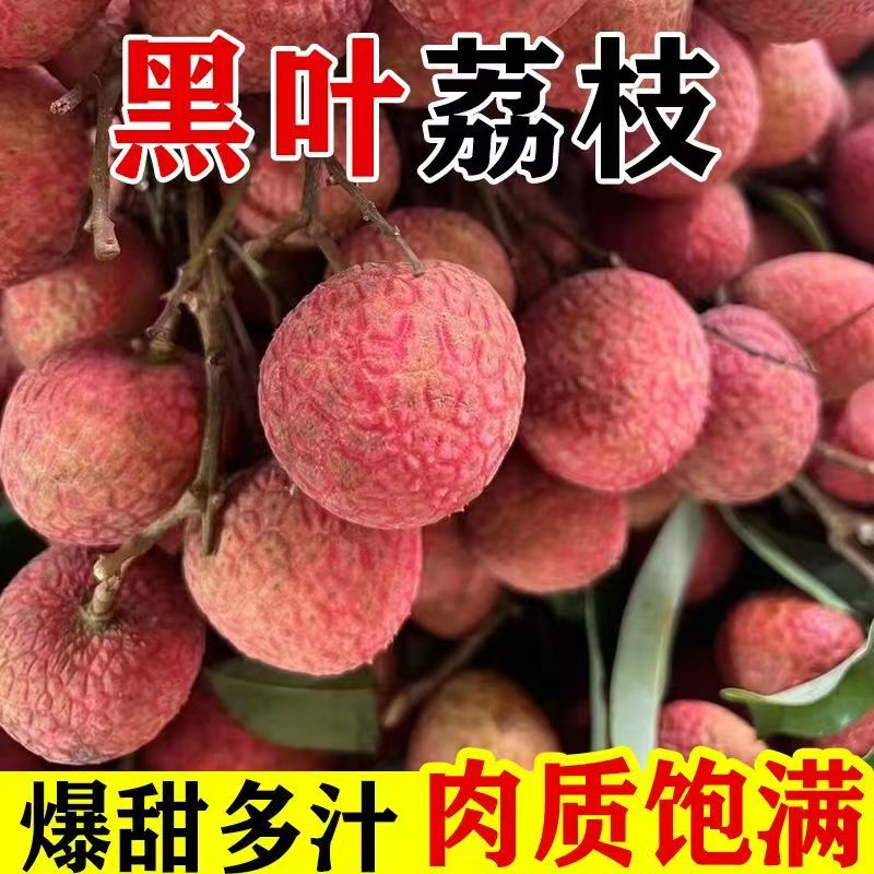 福建漳州黑叶荔枝乌叶荔枝应季水果新鲜采摘发货水润香甜多汁
