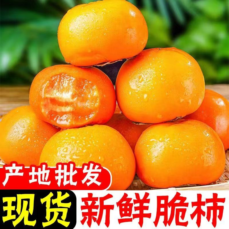 山西新鲜采摘甜脆柿子清甜可口产地直发包邮早熟新品种孕妇小孩