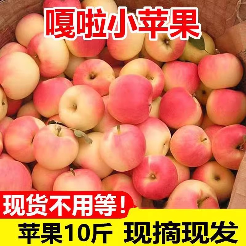 新鲜嘎啦小苹果应当季水果青陕西红富士脆甜小冰糖丑平果整箱包邮
