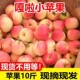 包邮 新鲜嘎啦小苹果应当季 水果青陕西红富士脆甜小冰糖丑平果整箱