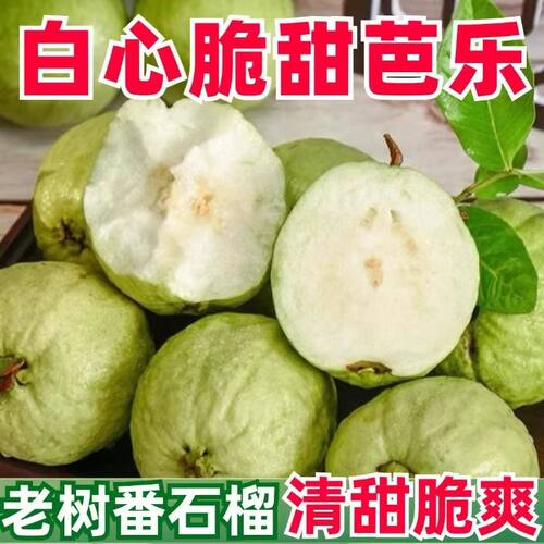 广东奶油芭乐水果新鲜包邮白心番石榴农家院应季整箱冰淇淋热带