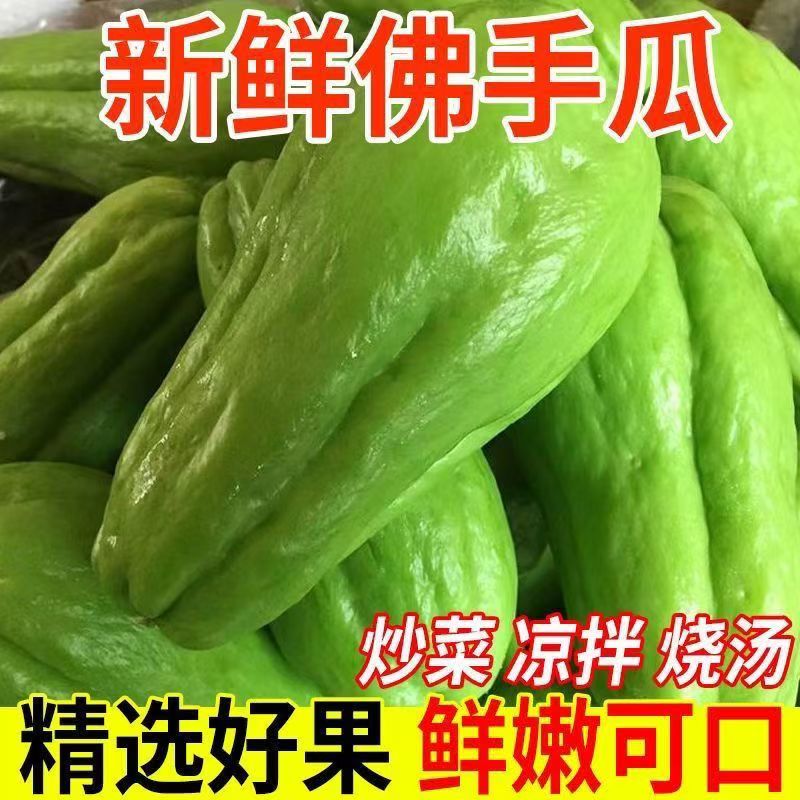 佛手瓜窝瓜捧瓜丰收福寿自种新鲜蔬菜当季现摘净重5斤包邮批发