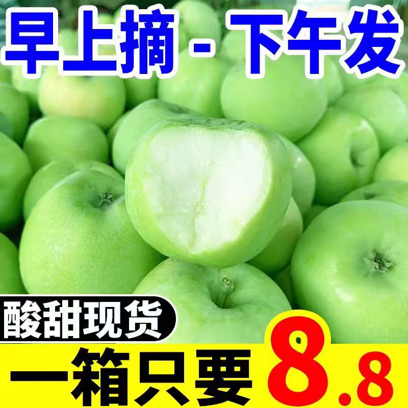 头茬青苹果今年新果新鲜应季水果酸甜孕妇水果青苹果批发
