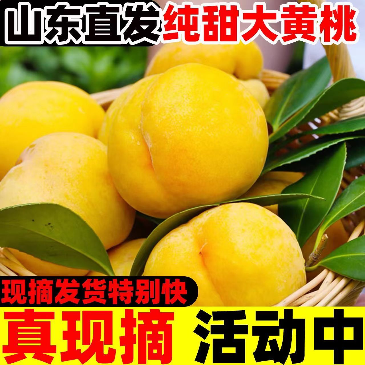正宗山东黄桃新鲜水果应季真甜黄毛黄金蜜红心黄桃特价包邮