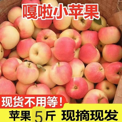2024年嘎啦苹果农家小苹果当季新鲜嘎啦果整箱青红富士脆甜冰糖心