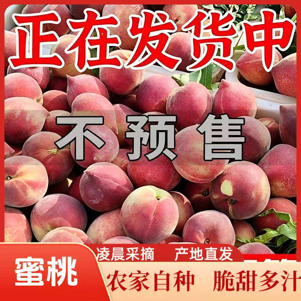 陕西蜜桃新鲜桃子毛桃甜脆5斤装大果产地直发应季水果桃味浓郁