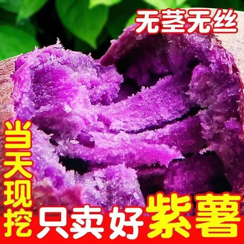 当季紫罗兰紫薯农家自种新鲜现挖紫水晶无筋地瓜代餐粗粮沙地紫心