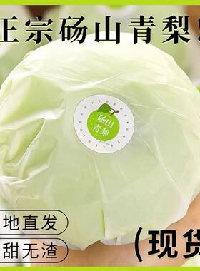 砀山梨青梨5斤新鲜水果水晶皇冠蜜梨生雪当季梨子整箱包邮甜脆