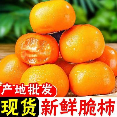 陕西富平巧克力脆柿子新鲜水果当季脆皮特大脆甜柿子脆柿太秋甜柿