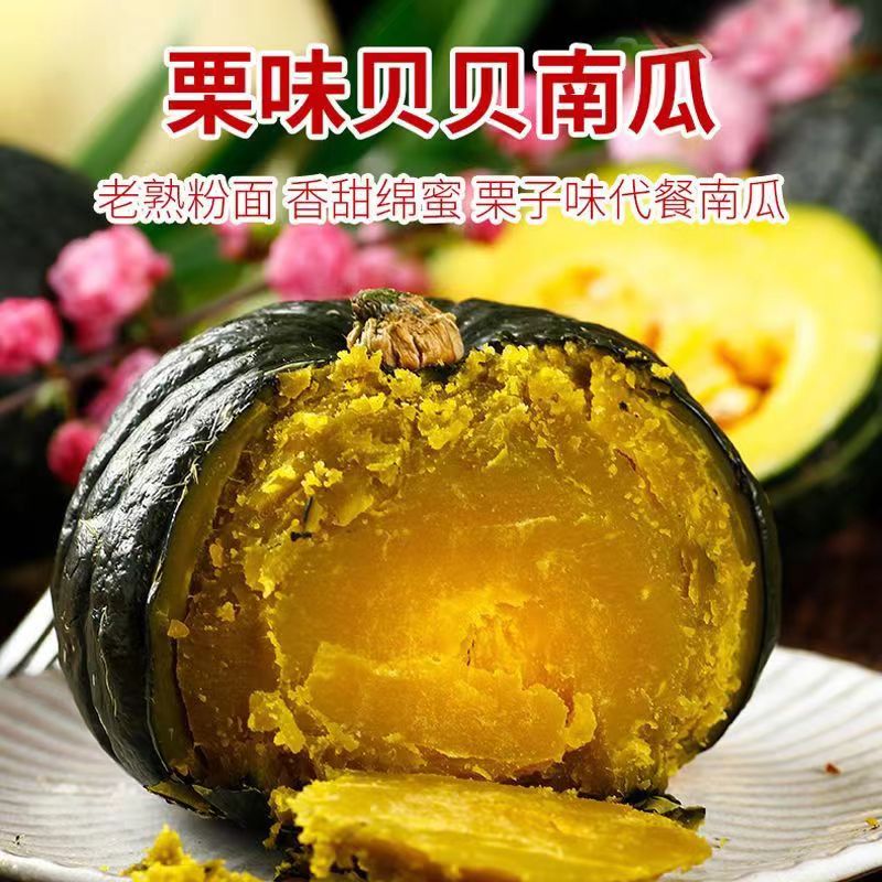 真贝贝南瓜正宗新鲜板栗味品种南瓜现摘婴儿孕妇粉糯包邮