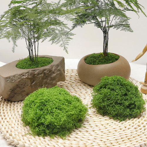 仿真苔藓人造假青苔微景观布置