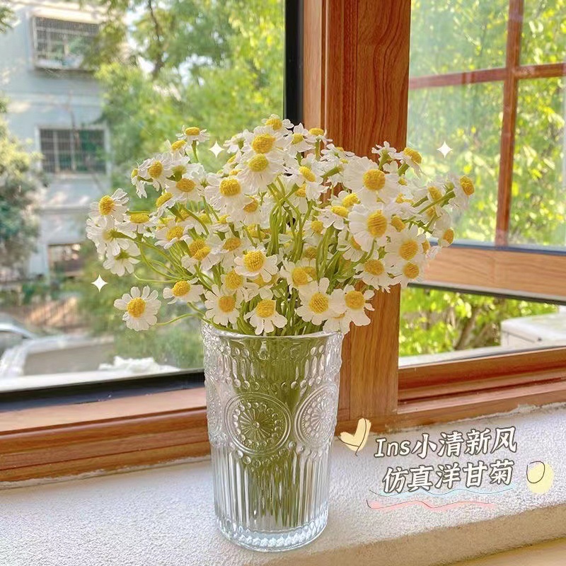 洋甘菊室内客厅餐桌装饰拍照道具