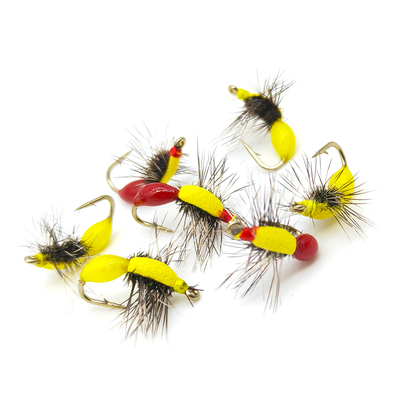 弓背蚁飞蝇钩微物路亚马口白条