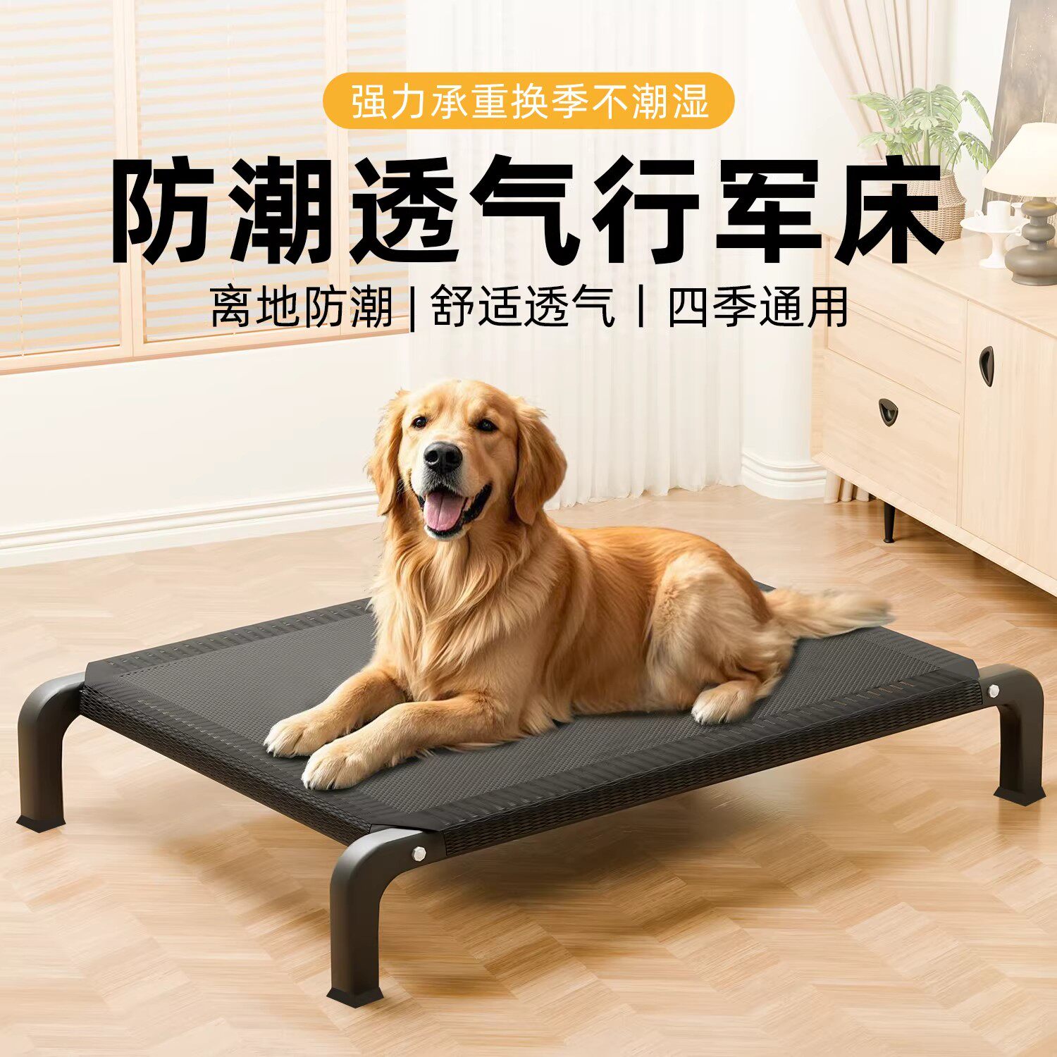 狗狗行军床大透气小型犬夏季宠物狗垫大型犬折叠四季通用离地狗窝