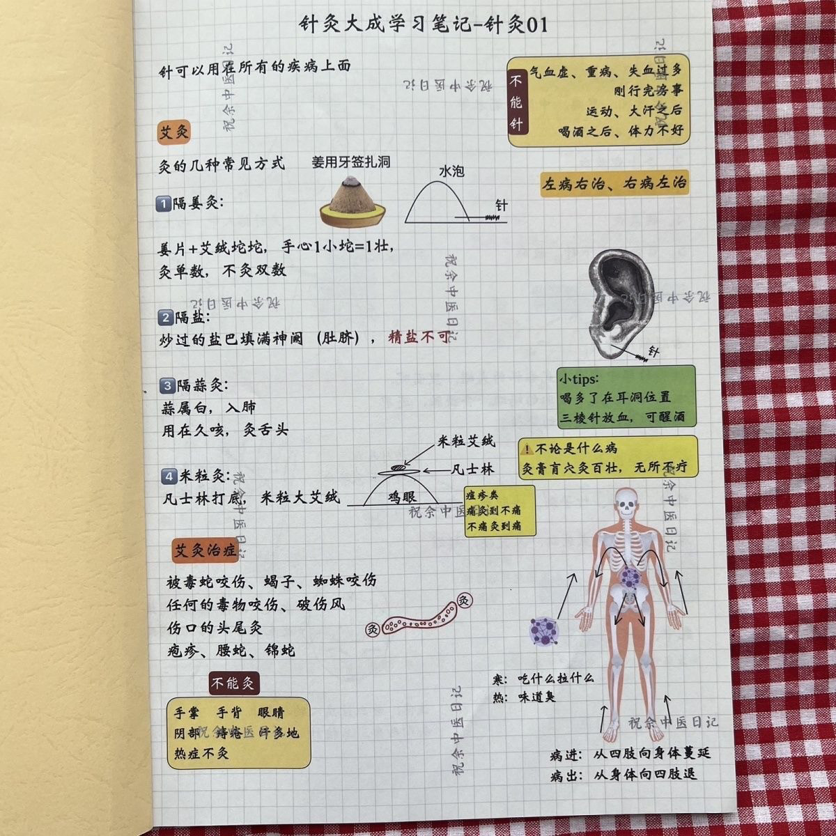 倪海厦针灸大成图文笔记倪老师课便签本/便条纸/N次