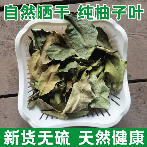 2025年新晒干柚子叶碌柚叶
