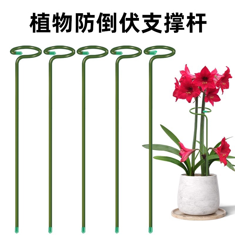植物支撑杆朱顶红花卉园艺防倒扶支架插花固定神器植物枝条固定杆