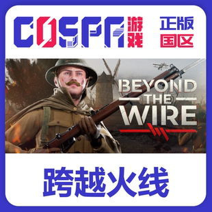 the Wire 现货入库 Steam正版 激活码 跨越火线Beyond CDK码 国区