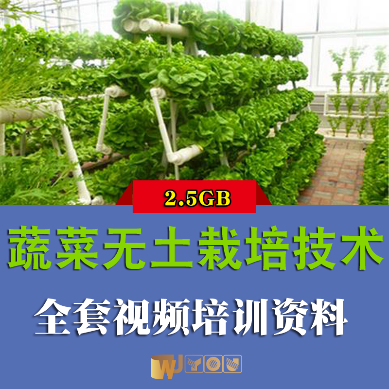 蔬菜无土栽培技术资料培训教程鱼菜共生系统阳台瓜果蔬菜水培种植