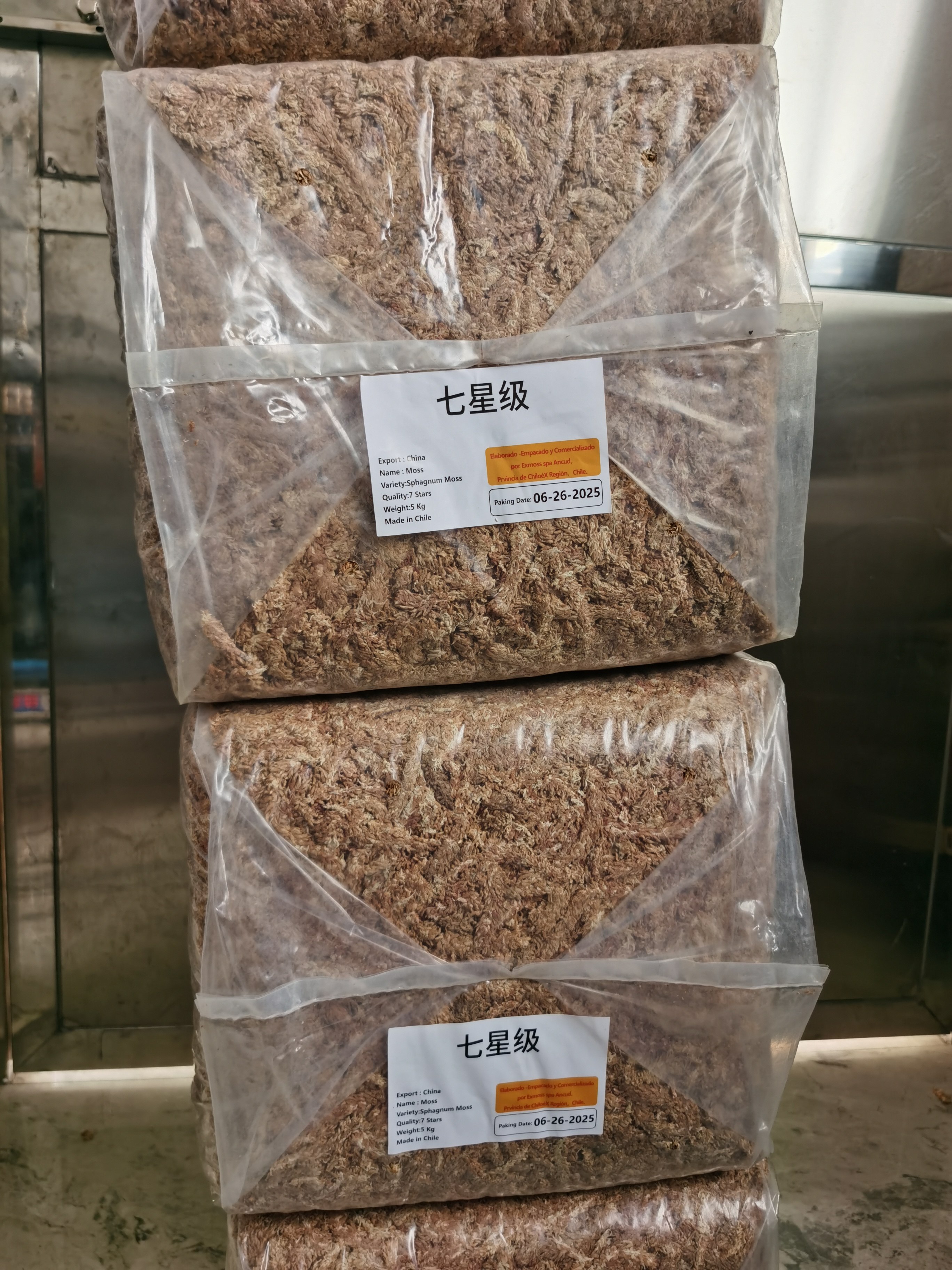 智利进口毛毛虫水苔蝴蝶兰爬虫植物乌龟冬眠石斛兰绿植移植鹿角蕨