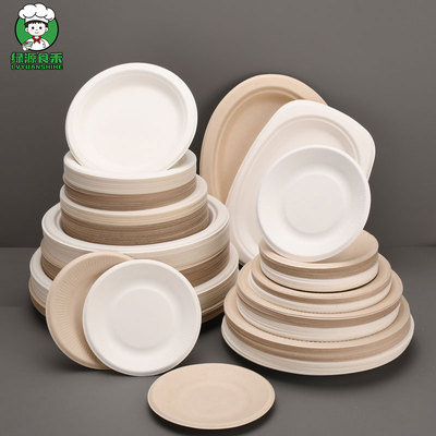 幼儿园可降解商务餐盘