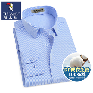 新款 商务正装 DP成衣免烫长袖 纯棉夏季 条纹职业衬衣 衬衫 啄木鸟男士