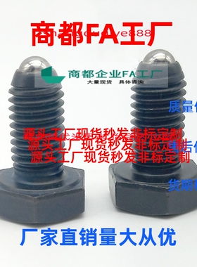 六角螺栓型球头柱塞BPHL10/12/16-15/20/25/30/35/40/45/50