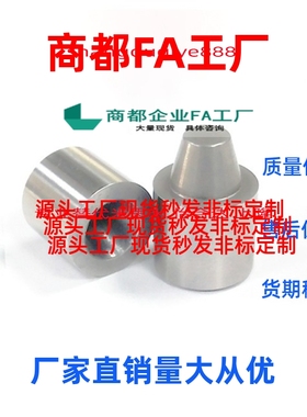 圆锥定位销PAP21-D12 12C D16 16C 20 20C D25 25C D30  PAP01/11