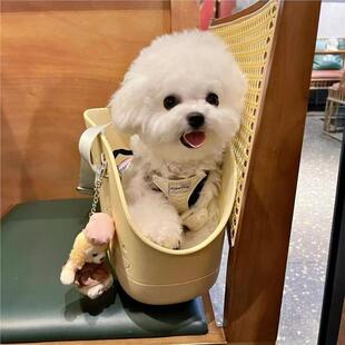 珍小型犬狗 比熊幼犬狗真狗长不大迷你白白色幼崽圆脸网红狗活体袖