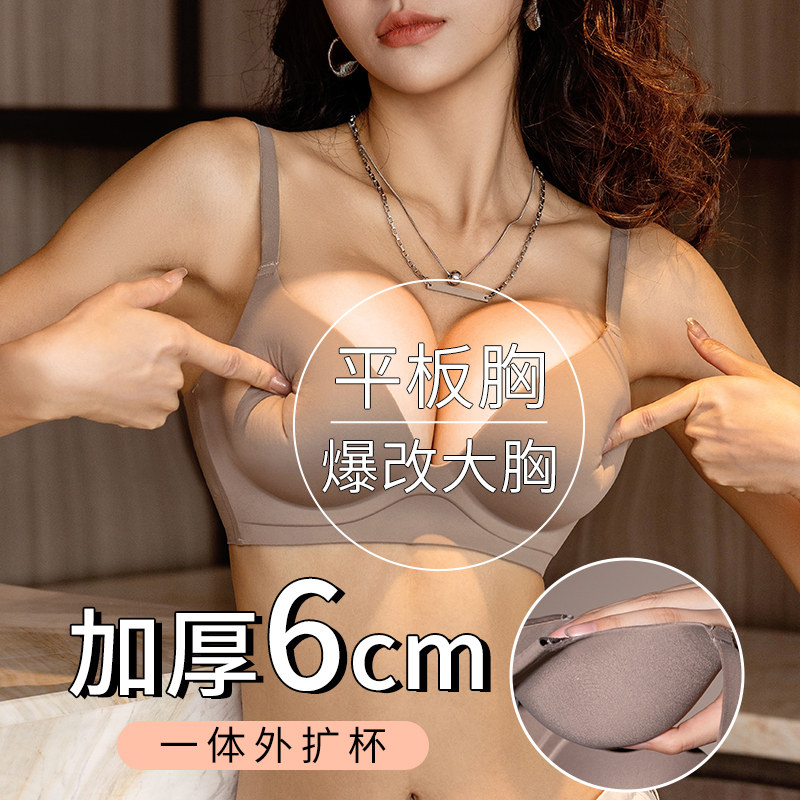 固定杯漫画胸外扩型胸内衣女小胸聚拢显大加厚无痕收副乳无痕文胸