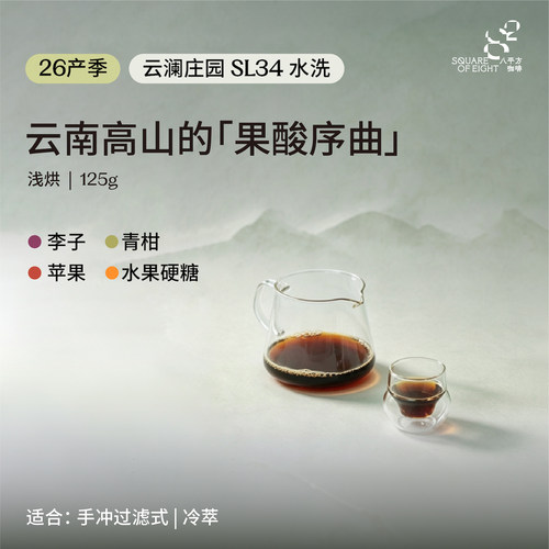 八平方 云南咖啡豆 云澜庄园SL34水洗浅烘精品手冲单品豆125g