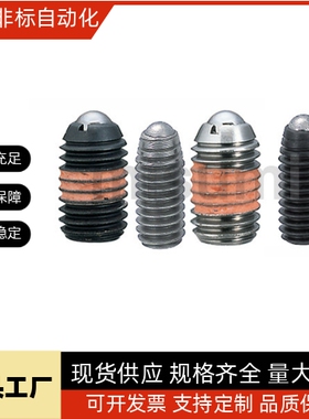 球头柱塞 BPJ/BSJ/BPW/NBPJ/NBSJ/NBPW2/3/4/5/6/8/10/12/16金属