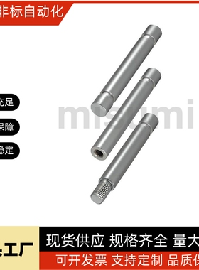 米思米替代 PSFJQ PSFJS PSFNS PSFQS PSFTS 导向轴 带止动螺丝槽